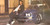 AT.LONG.LAST.A$AP - A$AP ROCKY (#888430777514)