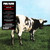 ATOM HEART MOTHER - PINK FLOYD (#888751842212)