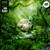 SZNZ: Spring - Weezer (#075678635120)