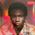 *USED* Because The Internet - CHILDISH GAMBINO (#413603373882)