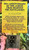 Nuggets: Original Artyfacts From the First Psyche - Various (#603497838332)