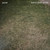 Days Are Gone - HAIM (#196588017018)