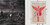 In Utero (30th Anniversary) - Nirvana (#602455178572)