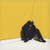Boy In Da Corner - Dizzee Rascal (#191404137918)