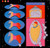 Harmonics - Goddard, Joe (#887828043729)