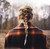 Evermore - Swift, Taylor  (#602435689036)