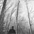 Evermore - Swift, Taylor  (#602435689036)