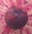 Dream In Dream - Cornelius (#600385308915)