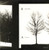 Decemberunderground - AFI (#451379927465)