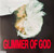 Glimmer of God - Dawson, Jean  (#697794331481)