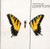 Brand New Eyes - Paramore (#075678958045)