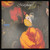 Good - Morphine (#081227809614)