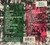 Wings - McCartney, Paul & Wings (#602475694373)