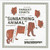 Sunbathing Animal - Parquet Courts (#883870071024)