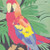 Parrot Flies - Algernon Cadwallader (#682821170706)