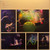 New Year's Eve 1995 Live At Madison Square Garden - Phish (#850014859541)
