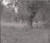 Train On The Island - Harding, Aldous (#191400087323)