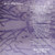 *USED* The Distortion Field - Trouble (#810555020008)