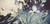 Northeast Emo - Sue (#426987051390)