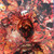 From Demo To Rot - FesterDecay (#781676765218)
