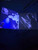 ReLoad (Remastered Expanded Edition) - Metallica (#810083963501)