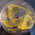 The Nile - Sun Ra And His Myth Science Arkestra (#441018200141)