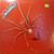 *USED* Spiders From Mars - Spiders From Mars (#480484860701)