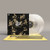 Live at Neumos (2011) - Head & the Heart (#098787174700)