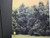 *USED* Camp - Childish Gambino (#432379336068)