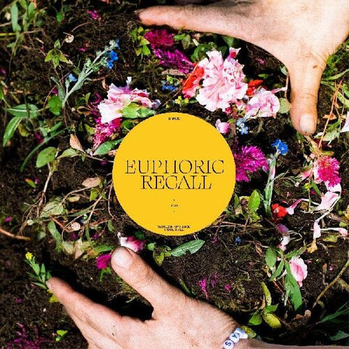 Euphoric Recall - Braids (#680341526027)