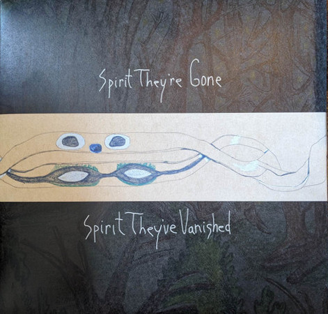 Spirit They're Gone, Spirit They've Vanished - Animal Collective (#887830017558)