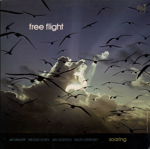 *USED* Soaring - Free Flight (#411639853040)