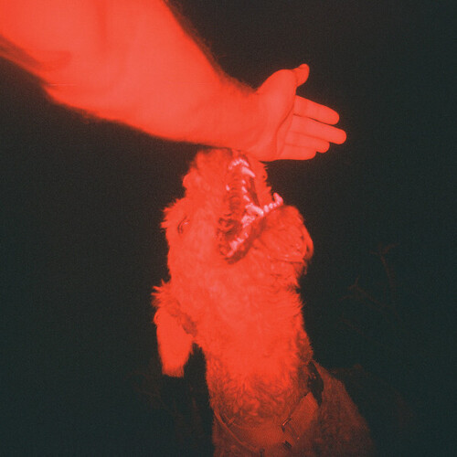 A Trick of the Light - Winter, Eli (#634457201507)