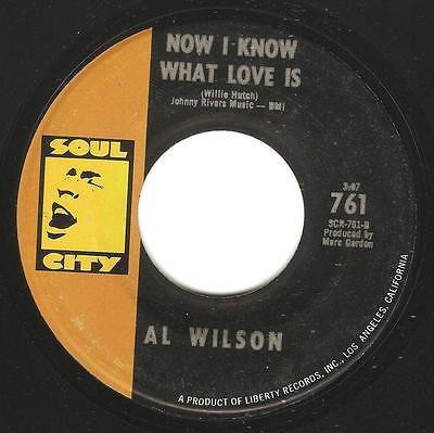 *USED* Do What You Gotta Do - Wilson, Al (#493042275756)
