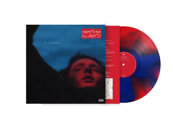 In A Dream - Sivan, Troye  (#602478808289)
