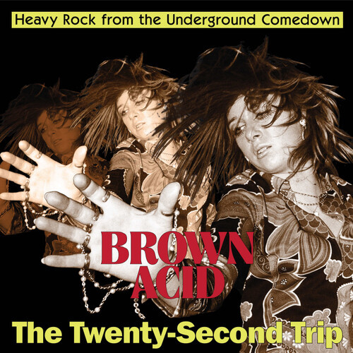 Brown Acid - The Twenty-Second Trip - Various Artists (#679065076833)