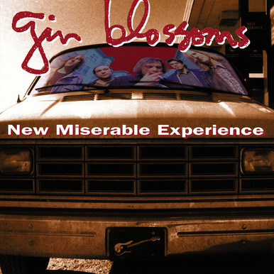 NEW MISERABLE EXPERIENCE - GIN BLOSSOMS (#602557293593