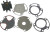 Sierra Water Pump Kit 18-3309