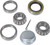 Dutton-Lainson 6200 Bearing Set With Dust Cap 21774