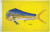 Taylor Flag Dolphin 36X60 1929