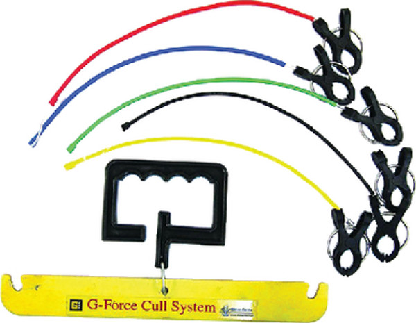 T-H Marine G-Force Conservation System GFC-CCSG2-DP