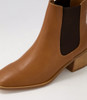 Vaneza Tan Ankle Boots