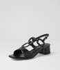 Aleine Black Sandals