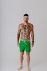 Boston Celtics Board Shorts