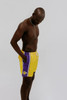 Sports Nuts Adult Los Angeles Lakers Board Shorts
