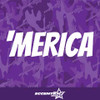 Merica Vinyl Decal Sticker