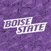 Boise State Vinyl Decal Sticker
