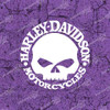 Harley Davidson Skull Vinyl Decal Sticker