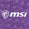 Micro-Star International MSI Vinyl Decal Sticker
