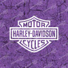 Harley Davidson Vinyl Decal Sticker